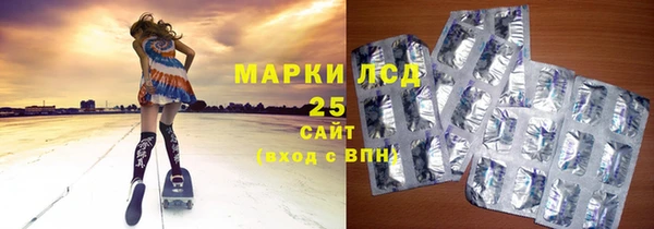 индика Дмитриев