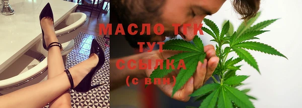 индика Дмитриев
