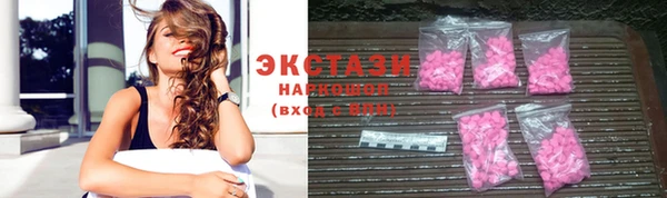 индика Дмитриев