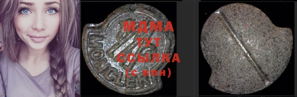 индика Дмитриев