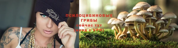 индика Дмитриев