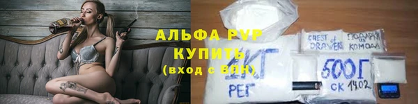 индика Дмитриев