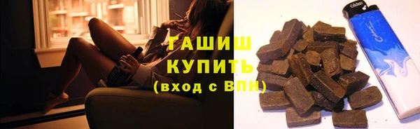 индика Дмитриев