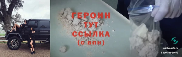 индика Дмитриев