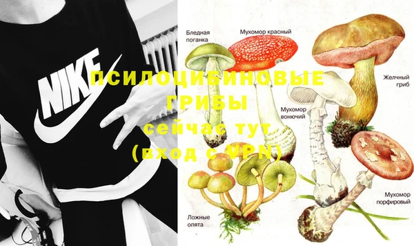 мдпв Дмитров