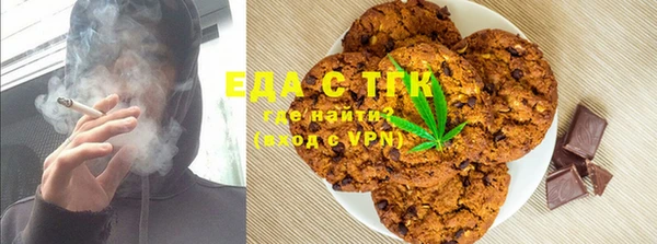 индика Дмитриев