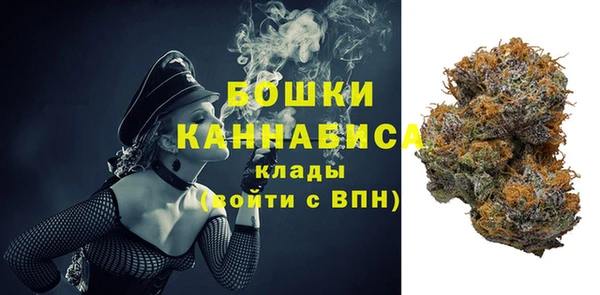 индика Дмитриев