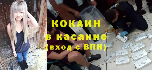 индика Дмитриев